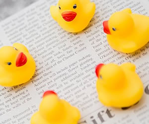 整列されたあひる達