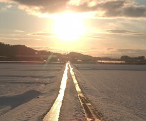 道なりの先の日の出