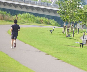 朝にランニングする男性