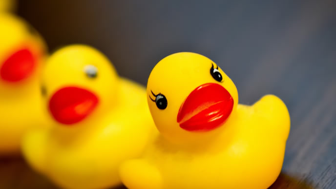 順番待ちをするアヒルの群れ