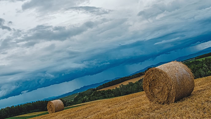 北海道の大地と干草ロール