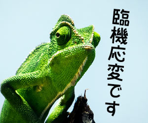 カメレオン例えで臨機応変