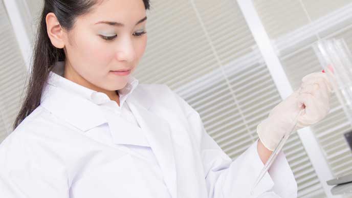 保健所で作業をしてる行政保健師