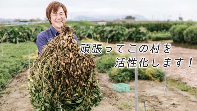 畑で落花生を収穫している男性