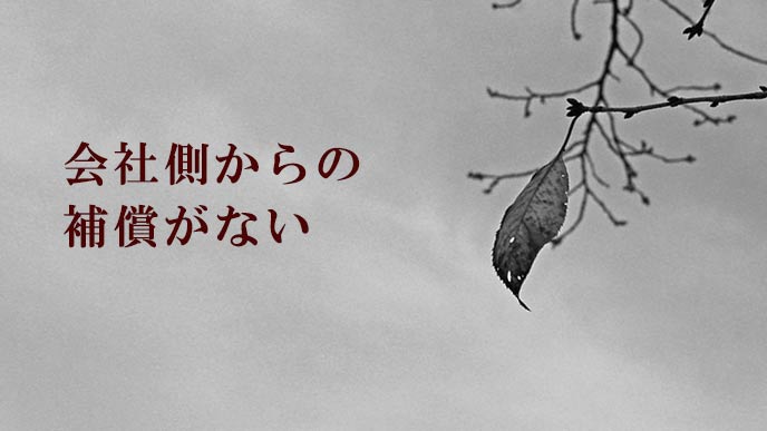 木の枝に残る葉