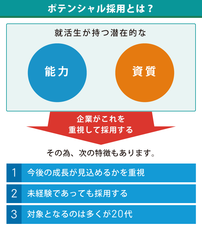 ポテンシャル採用の特徴について説明