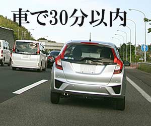 車通勤の列