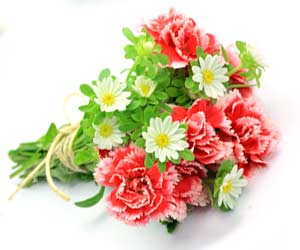 カーネーションの花束