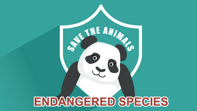 絶目危惧種のパンダ